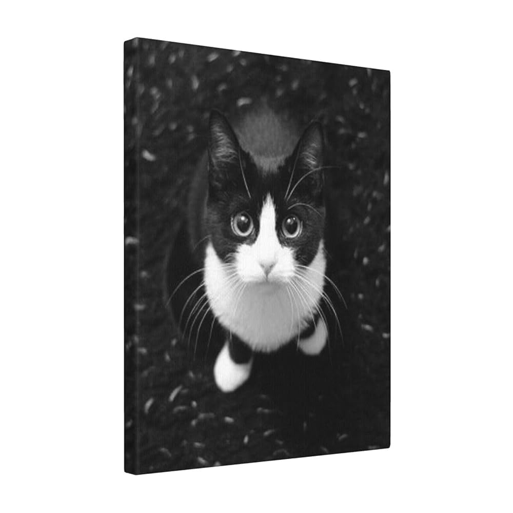 Amazon.co.jp: 八割れ 猫 ハチワレ猫ちゃん アートパネル アニメ